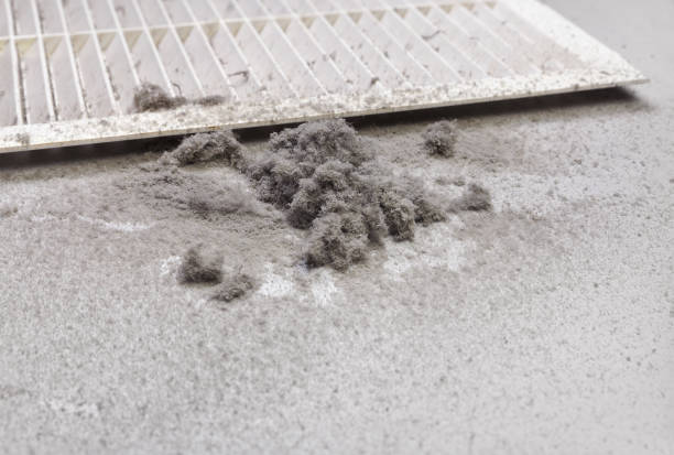 Best Commercial HVAC Duct Cleaning  in Red Bay, AL